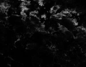 confocal-image Confocal Image