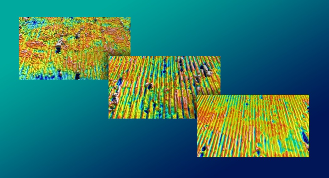 shark_fig1 Project closing and digital demonstration