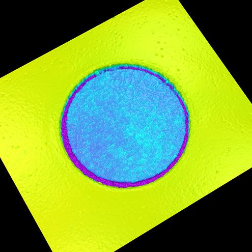 sensopro-concentricity-plugin-3d Concentricity Plugin
