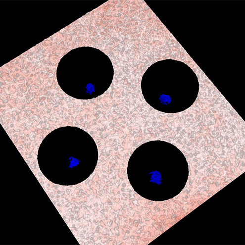 ptv_01 ptv_01