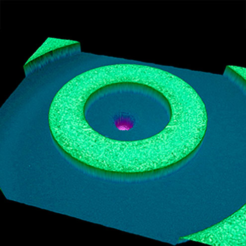sensopro-concentricity-a-plugin-3d Concentricity A plugin