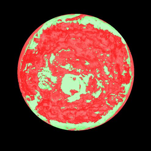 imcc.new_.plugin1 imcc.new_.plugin1