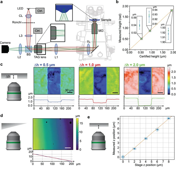 fasttopoopticscan_3 Fast topographic optical imaging using encoded search focal scan