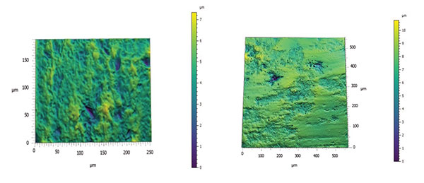 cs30-imf-csic-tools-first-neolithic-farmers_fig2 cs30 IMF CSIC Fig.2_3D texture map generated from a Confocal scan