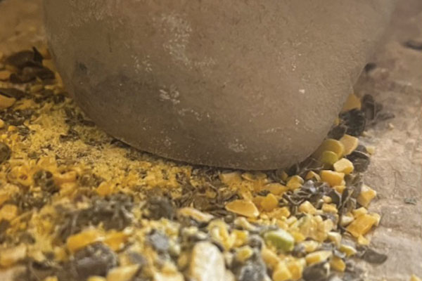 cs30-imf-csic-tools-first-neolithic-farmers_fig3 cs30 IMF CSIC Fig.3_Experimental ground stone replica